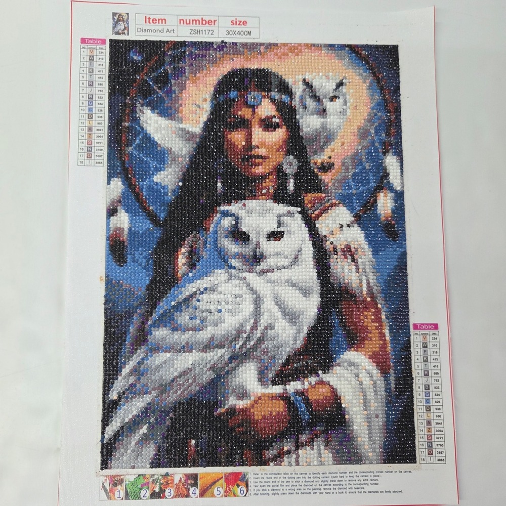 Diamond Art Completed Painting 30x40cm Multicolor Indigenous Woman‎ Owls